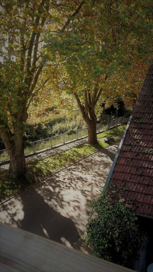 Haus Mit Seele Im Nahetal Weinsheim  Exteriör bild