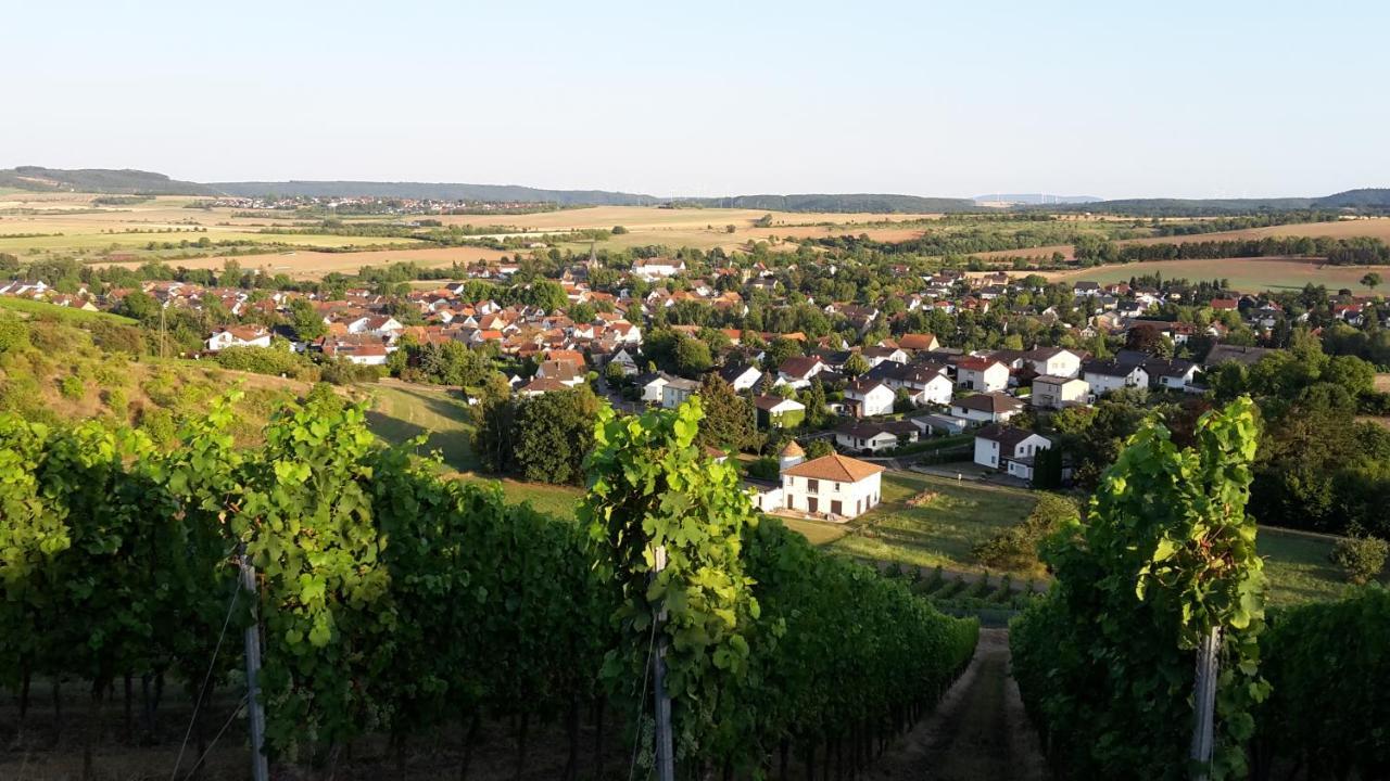 Haus Mit Seele Im Nahetal Weinsheim  Exteriör bild
