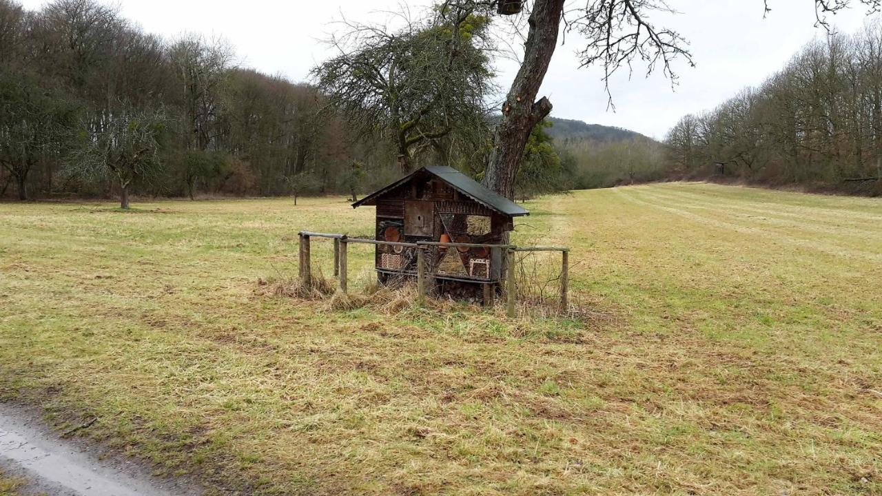 Haus Mit Seele Im Nahetal Weinsheim  Exteriör bild