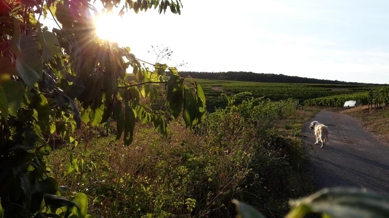 Haus Mit Seele Im Nahetal Weinsheim  Exteriör bild