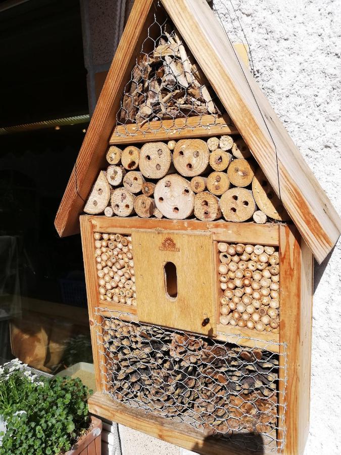 Haus Mit Seele Im Nahetal Weinsheim  Exteriör bild
