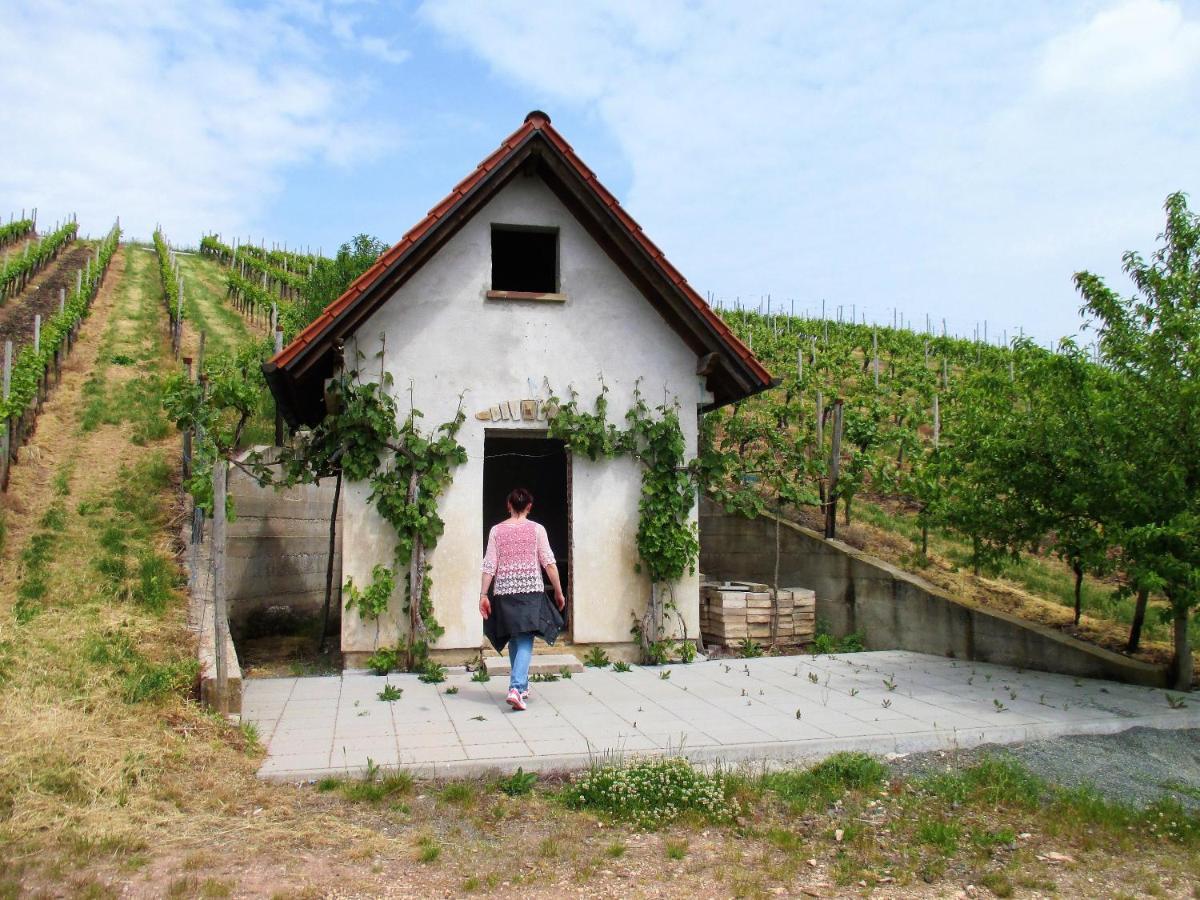 Haus Mit Seele Im Nahetal Weinsheim  Exteriör bild