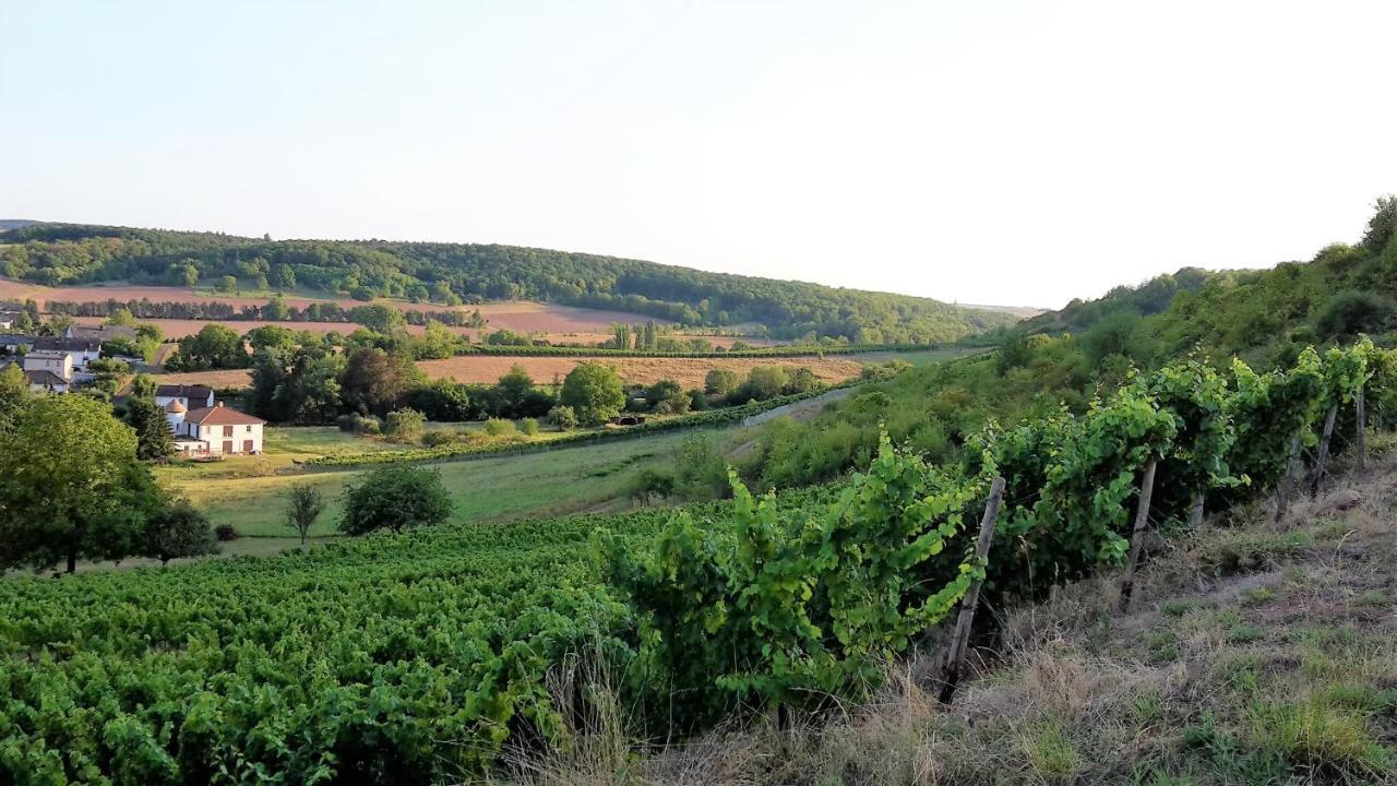 Haus Mit Seele Im Nahetal Weinsheim  Exteriör bild