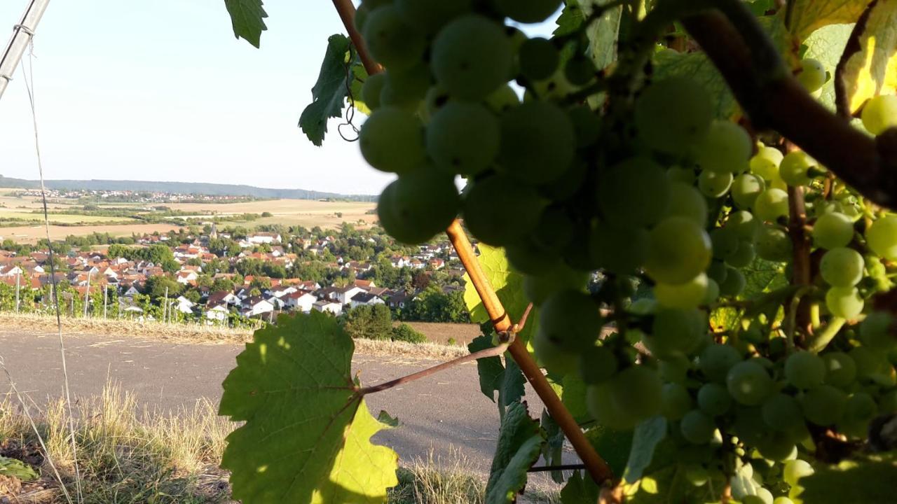 Haus Mit Seele Im Nahetal Weinsheim  Exteriör bild