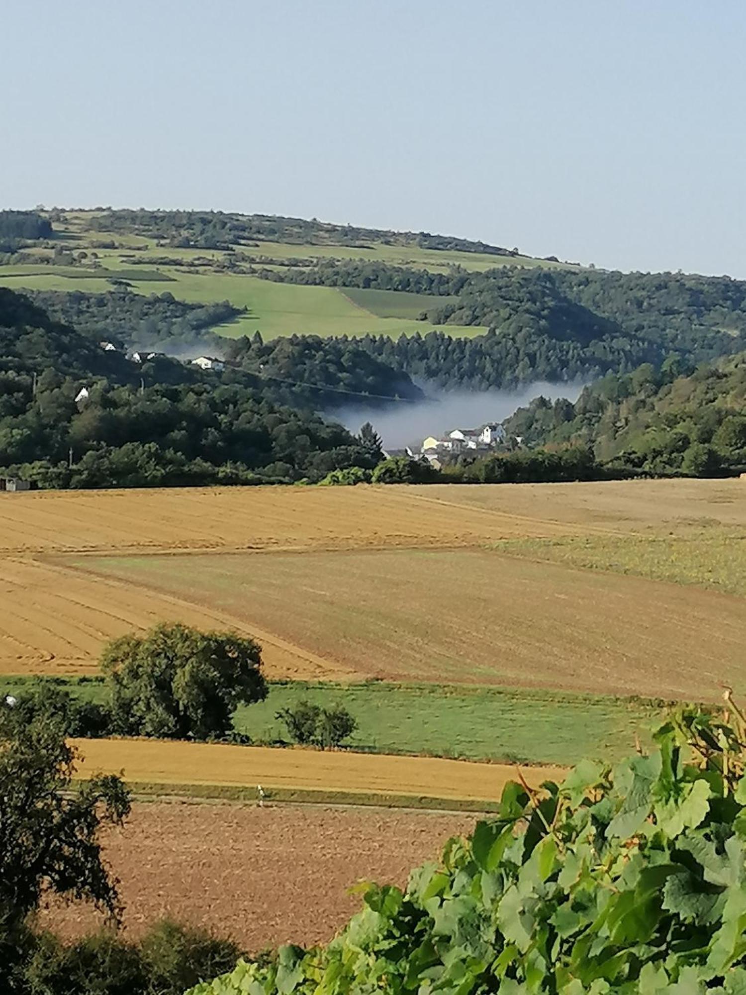 Haus Mit Seele Im Nahetal Weinsheim  Exteriör bild